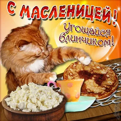 Фото масленичных гуляний