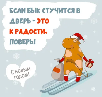 Новогодние изображения с приколами: форматы JPG, PNG, WebP