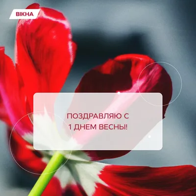 Весенние открытки: фотографии для празднования первого дня весны