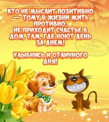 Картинки для радости и вдохновения