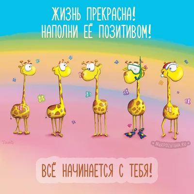 Лучшие улыбки: наслаждайтесь этими забавными снимками!