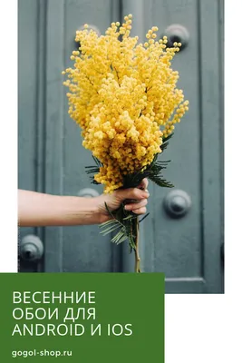 Весенние фото, которые переносят вас в мир красоты