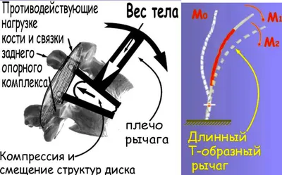 Размер по желанию: Индивидуальные настройки для каждого пользователя