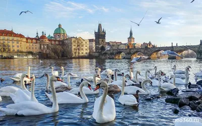 Прага зимой: Фотографии и фото