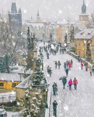 Прага зимой туристов фотографии