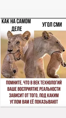 Смешные картинки - скачать в формате JPG