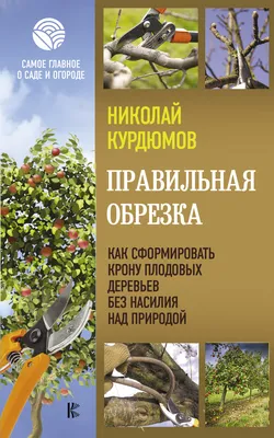 Фото: правильная обрезка плодовых деревьев в восточной Лаосе