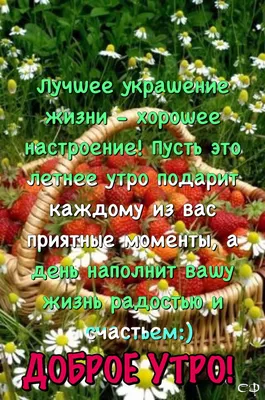 Прекрасное летнее утро: уютные картинки для вашего утра