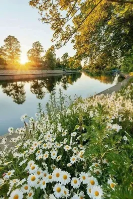 Прекрасное утро на фотографии