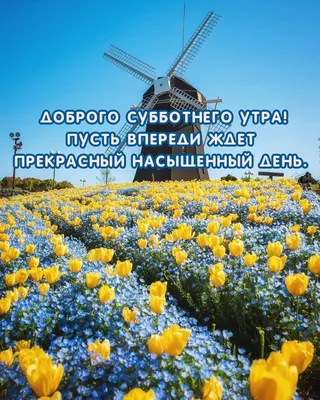 Фотографии, чтобы вдохновиться в прекрасный субботний день