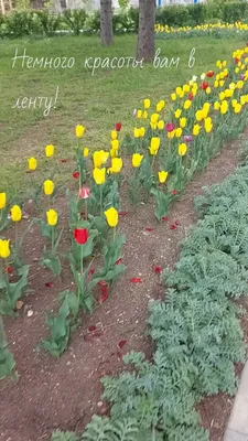 Весенний фотопейзаж: фото, чтобы насладиться природой