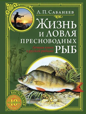 Картинки пресноводных рыб: выберите формат и размер изображения