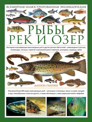 Картины пресноводных рыб: выберите желаемый формат и размер изображения