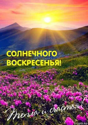 Фотк Приятного воскресного дня в формате webp