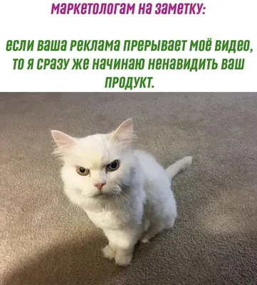 Уникальные смешные фотографии