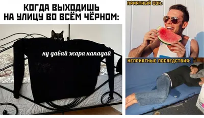 Веселые фотки, чтобы поднять настроение каждый день в любое время и в любом месте