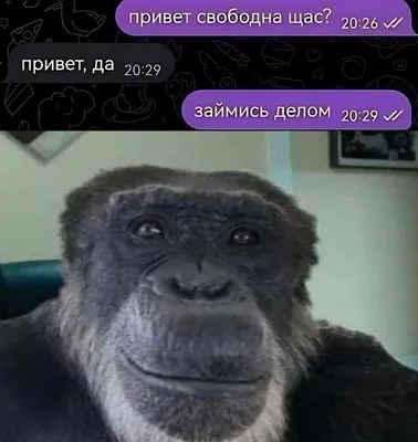 Арт-фото горилл в gif формате: оживите свой экран