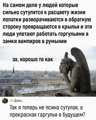 Забавные снимки, чтобы поднять настроение