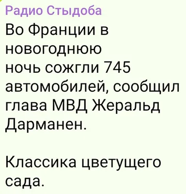 Прикольные снимки для хорошего настроения: картинки на каждый день