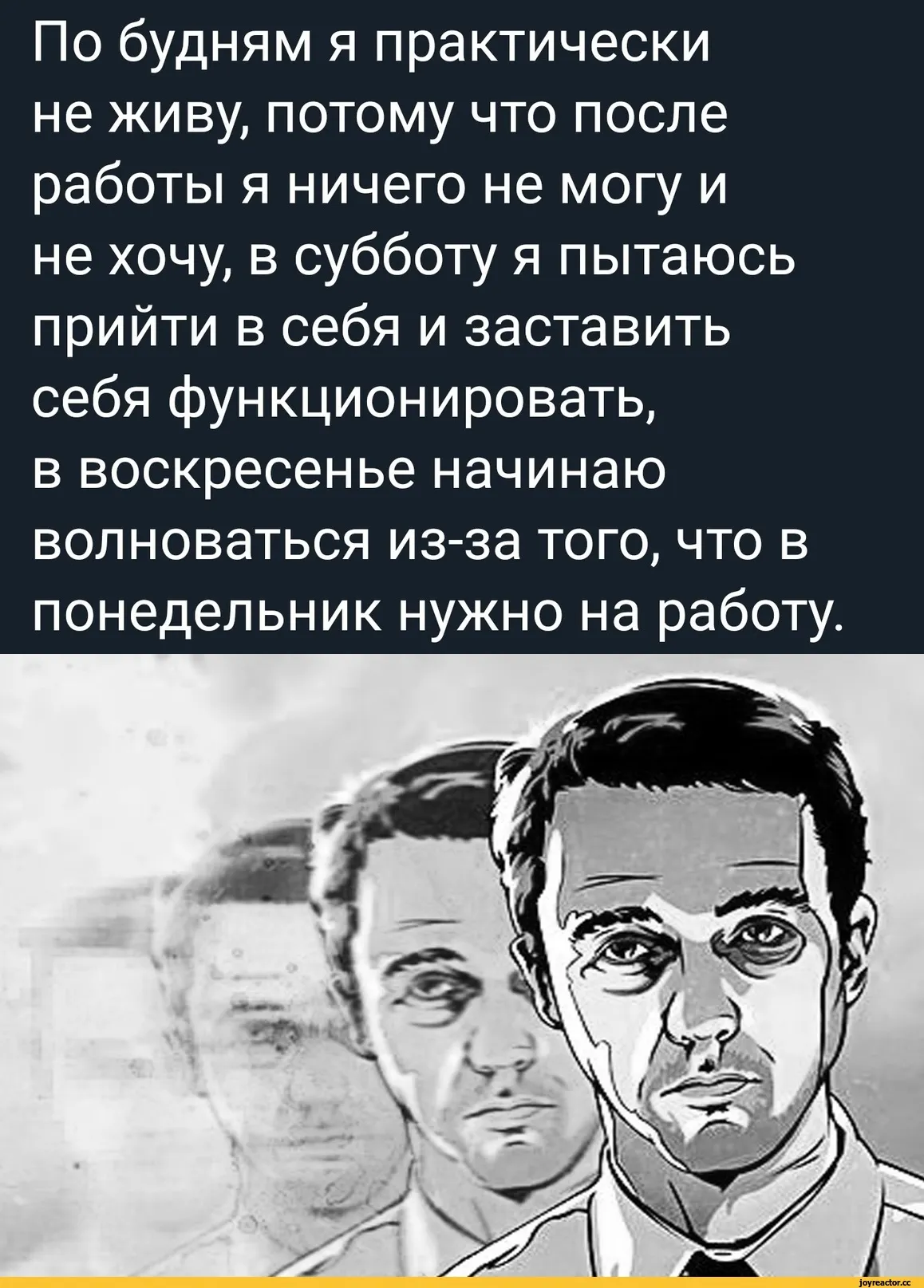 Улыбнитесь смешным фото во время работы в субботу | Прикольные картинки про  рабочую субботу Фото №2340107 скачать