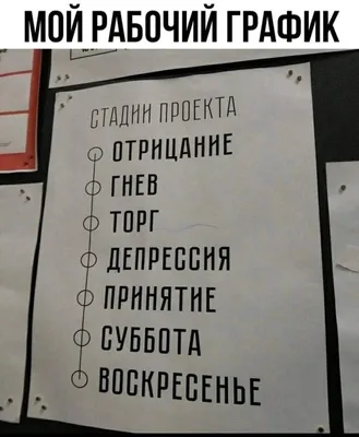 Фото и картинки про рабочую субботу: скачать в хорошем качестве