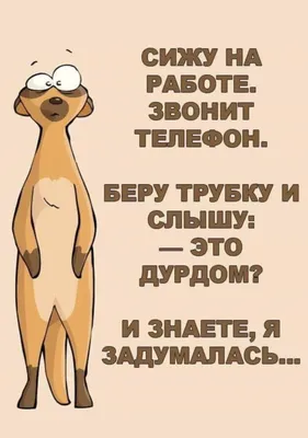 Улыбнитесь смешным фото во время работы в субботу