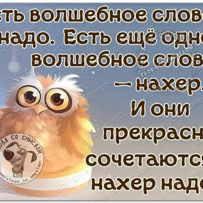 Фотографии с надписями для соцсетей - JPG, PNG, WebP