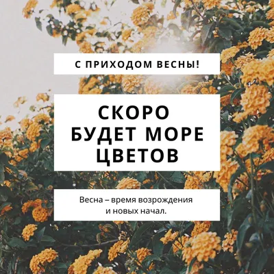 Весенние изображения: лучшие моменты