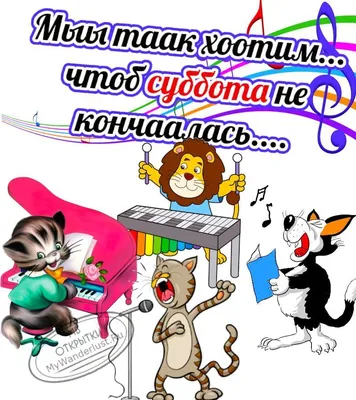 Прикольные картинки сегодня суббота: улыбайтесь и наслаждайтесь этими удивительными снимками!