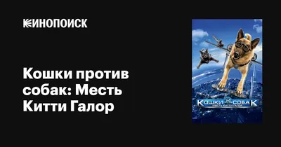 Прикольные Картинки Собак С Надписью - скачать бесплатно в хорошем качестве