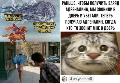 Уникальные надписи на фото, которые вызовут улыбку