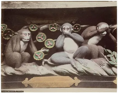 Когда обезьяны говорят: забавные цитаты на фото