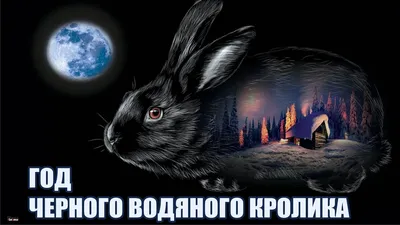 Прикольные моменты на Новый год в формате PNG: четкие и яркие!