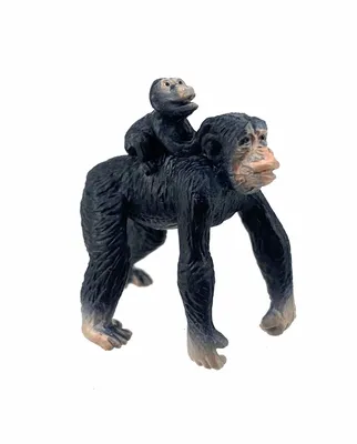 Обаятельные шимпанзе: Фото в высоком разрешении