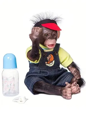 Обаятельные мордочки: Фотокарточки шимпанзе