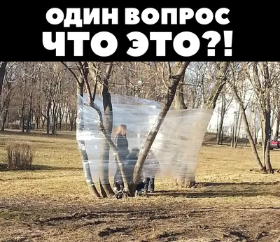 Лучшие смешные картинки для любимого