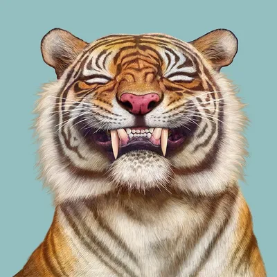 Удивительные фотографии тигров (jpg, png, webp)