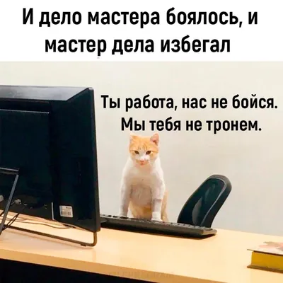 Фотографии, которые вызовут у вас улыбку