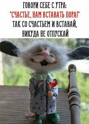 Уникальные снимки, чтобы поднять настроение