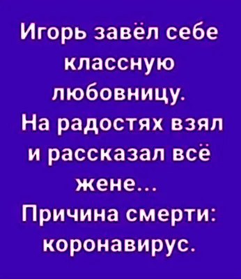 Приколы дня: скачать бесплатно в хорошем качестве