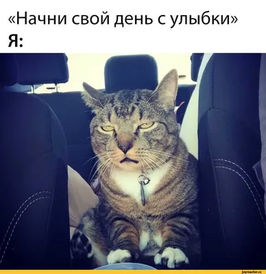 Фото, которые заставят вас улыбнуться