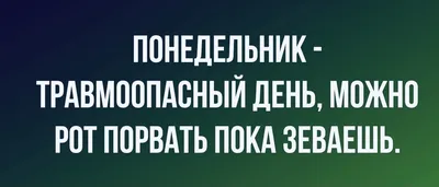 1) Фото дня: лучшие изображения для вашего настроения