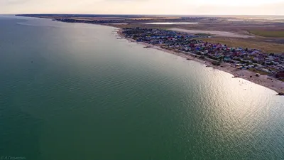 Фотографии Приморского посада пляжа с птицами