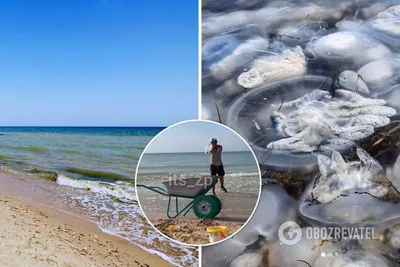 Фотографии Приморского посада пляжа: мир спокойствия и красоты