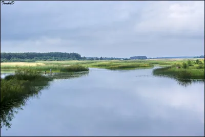 Фото Припять река - бесплатно скачать в формате JPG