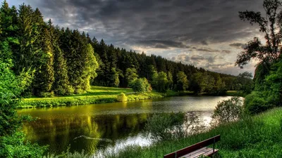 Фотография реки с водопадом в лесу: потрясающий природный пейзаж