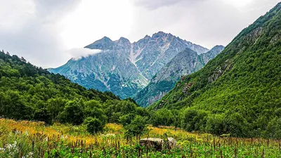 Удивительные виды реки на фоне природы: фото в хорошем качестве