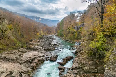 Изображение реки со спокойной водой и зелеными полянами: фото в 4K для андроида.