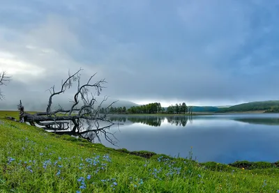 Впечатляющие виды озера, запечатленные на фото (скачать бесплатно)