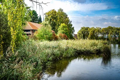 Фото рек, чтобы вдохновиться естественной красотой.